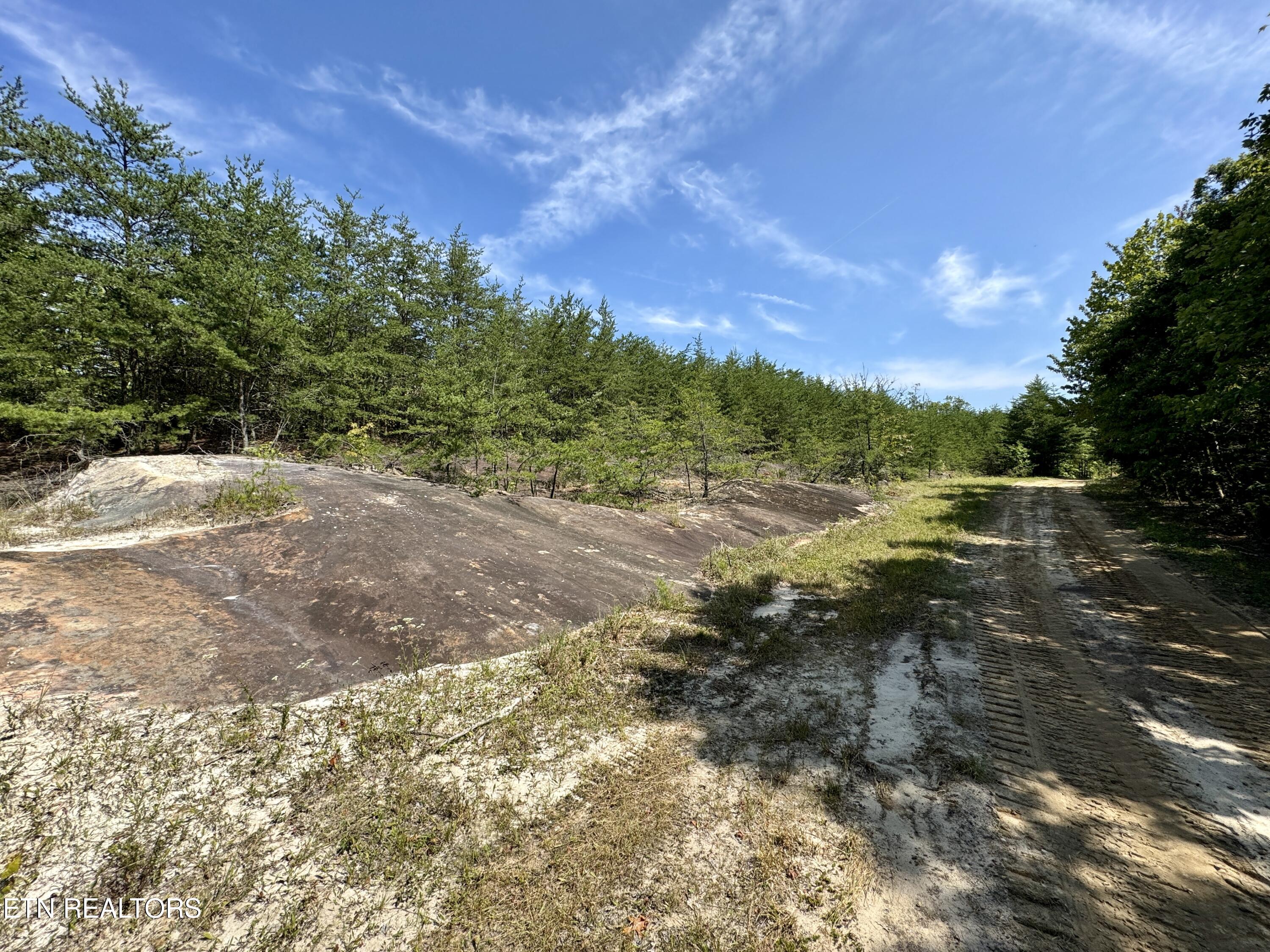 207 Lick Fork Lane Pioneer TN 37847