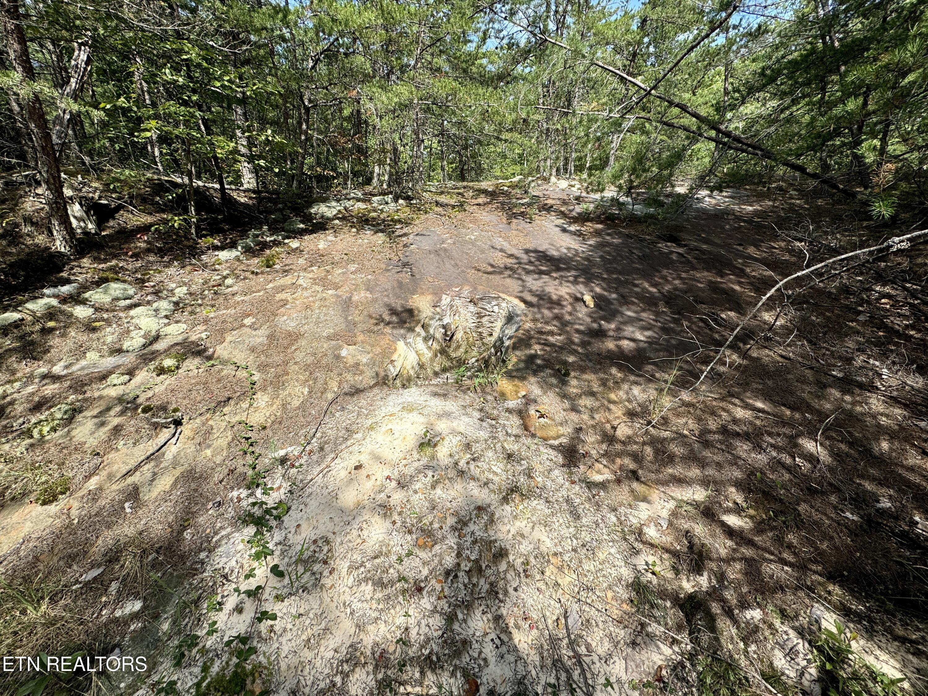 207 Lick Fork Lane Pioneer TN 37847