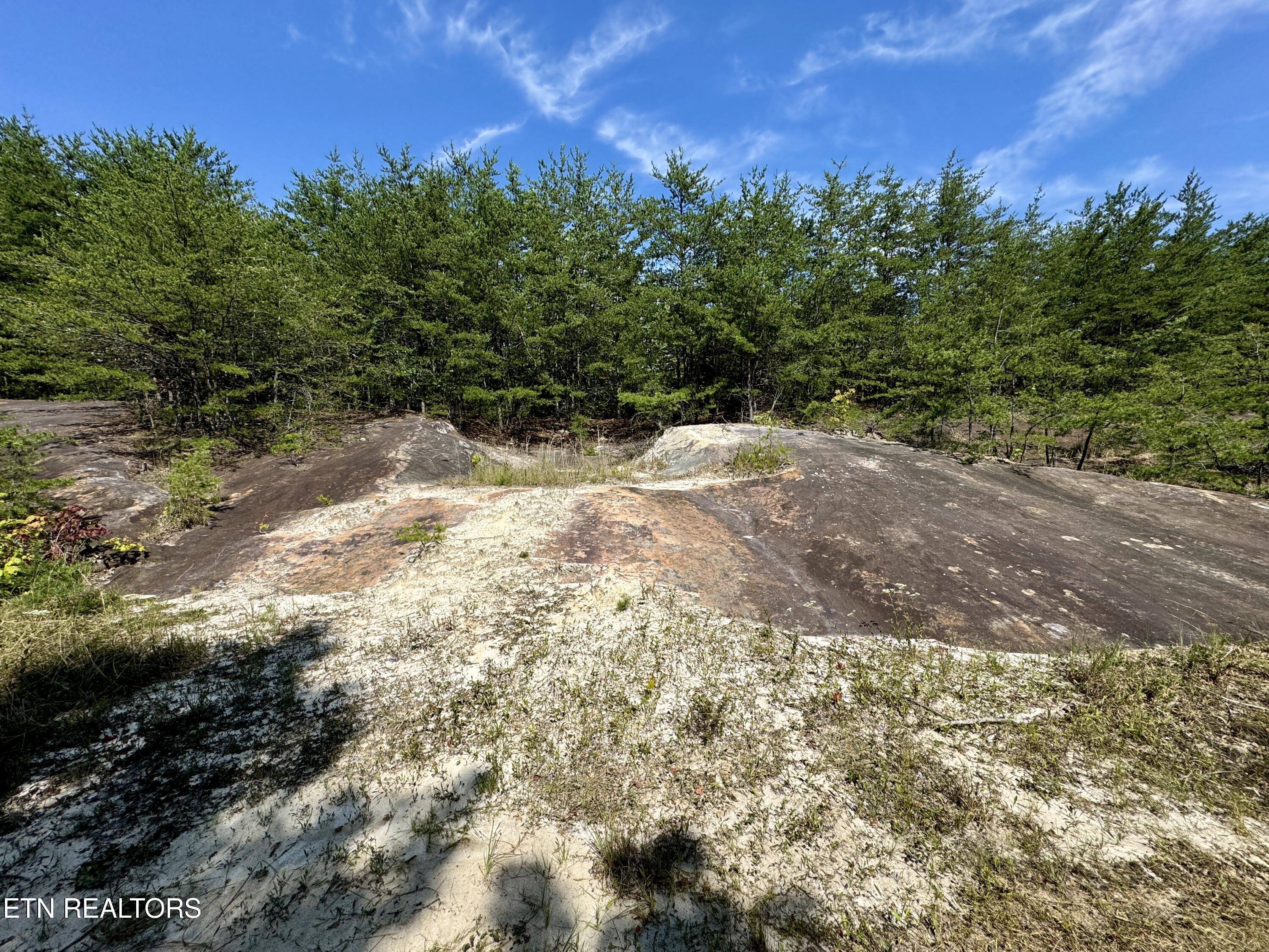 207 Lick Fork Lane Pioneer TN 37847