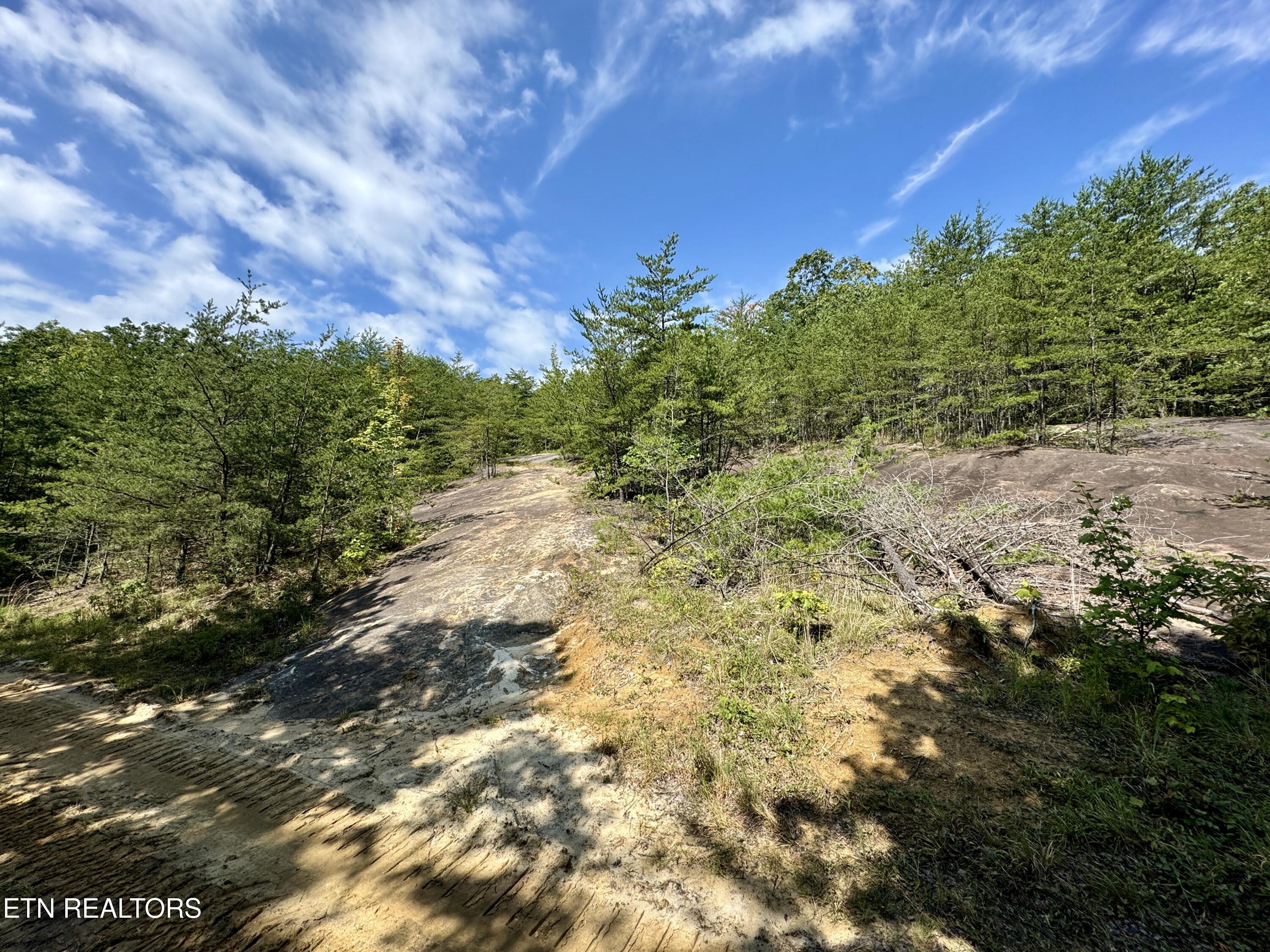 207 Lick Fork Lane Pioneer TN 37847