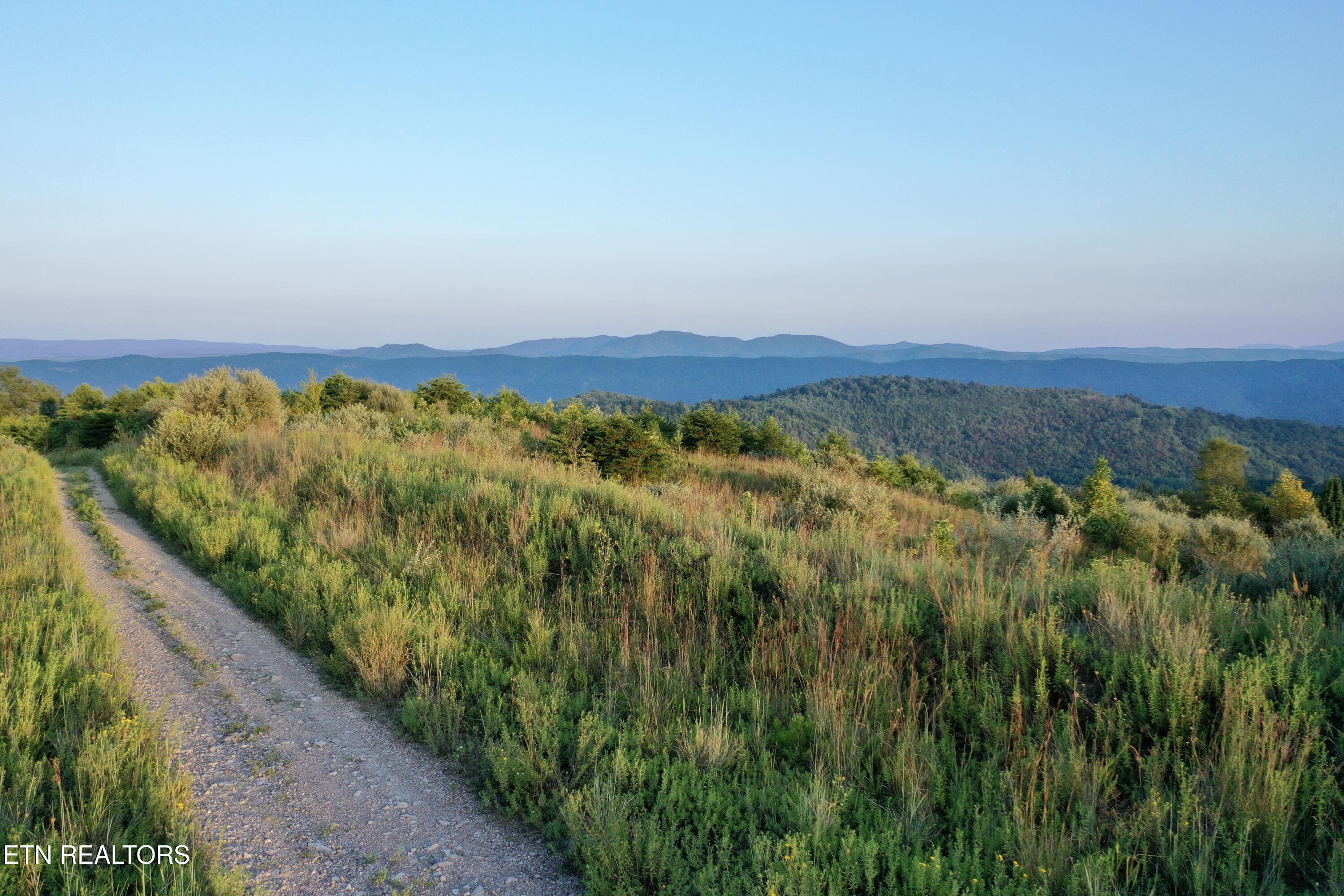 207 Lick Fork Lane Pioneer TN 37847