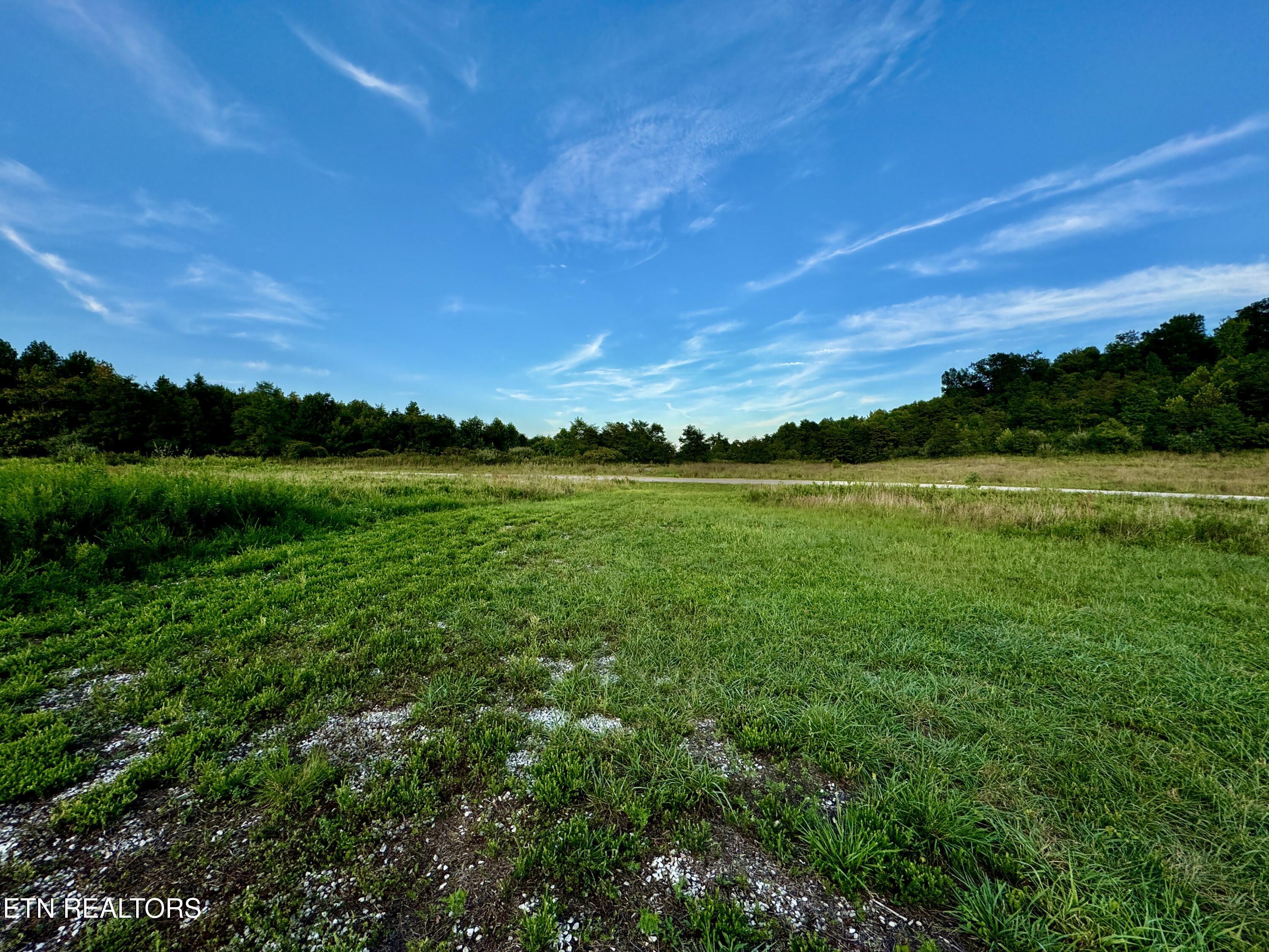 207 Lick Fork Lane Pioneer TN 37847