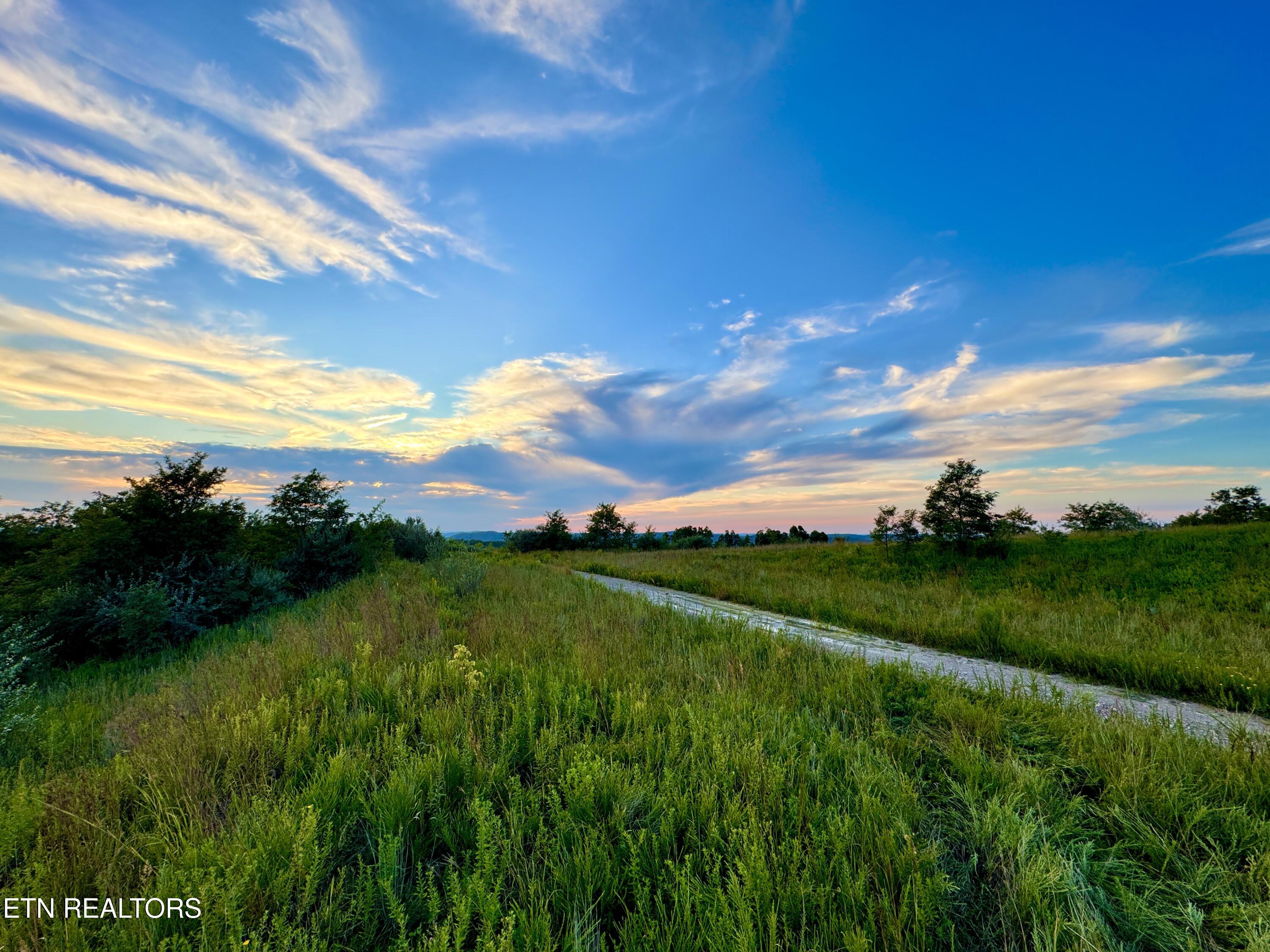 207 Lick Fork Lane Pioneer TN 37847