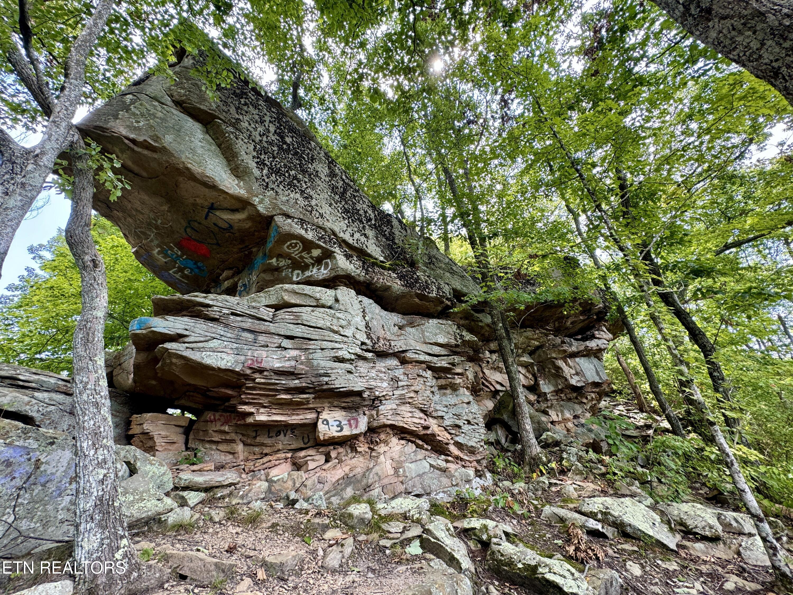 207 Lick Fork Lane Pioneer TN 37847