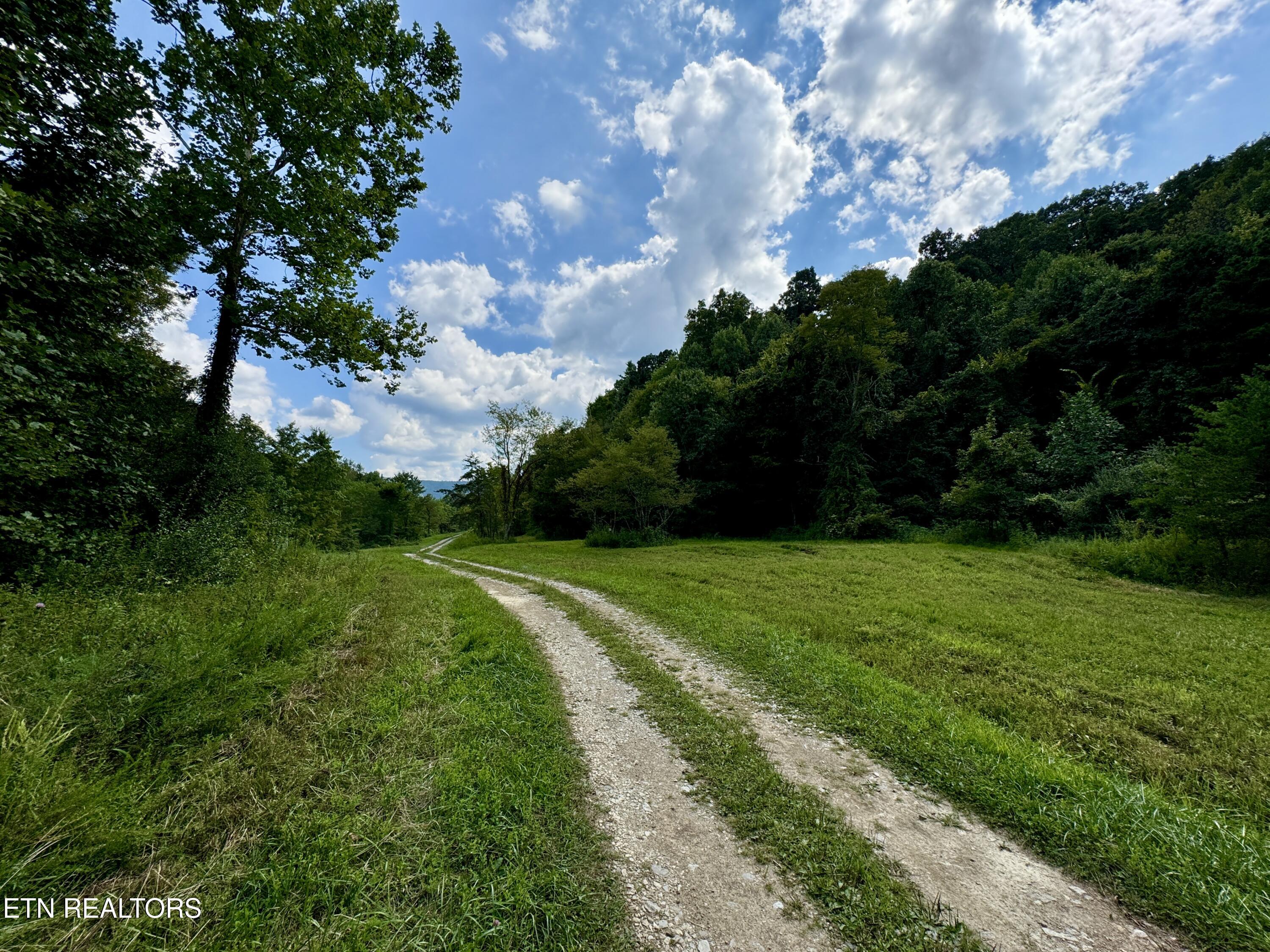 207 Lick Fork Lane Pioneer TN 37847