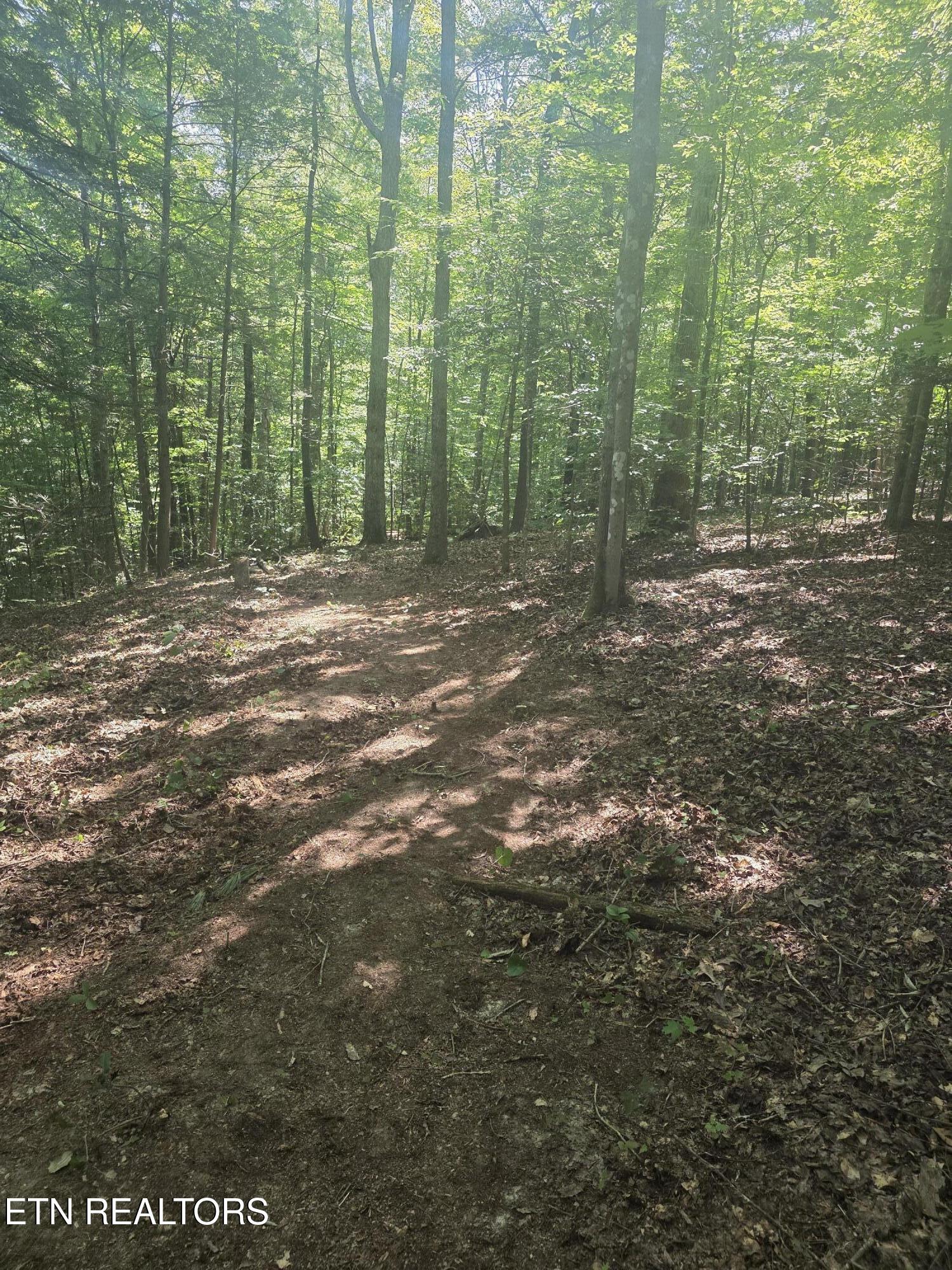 1478 Catoosa Road Wartburg TN 37887