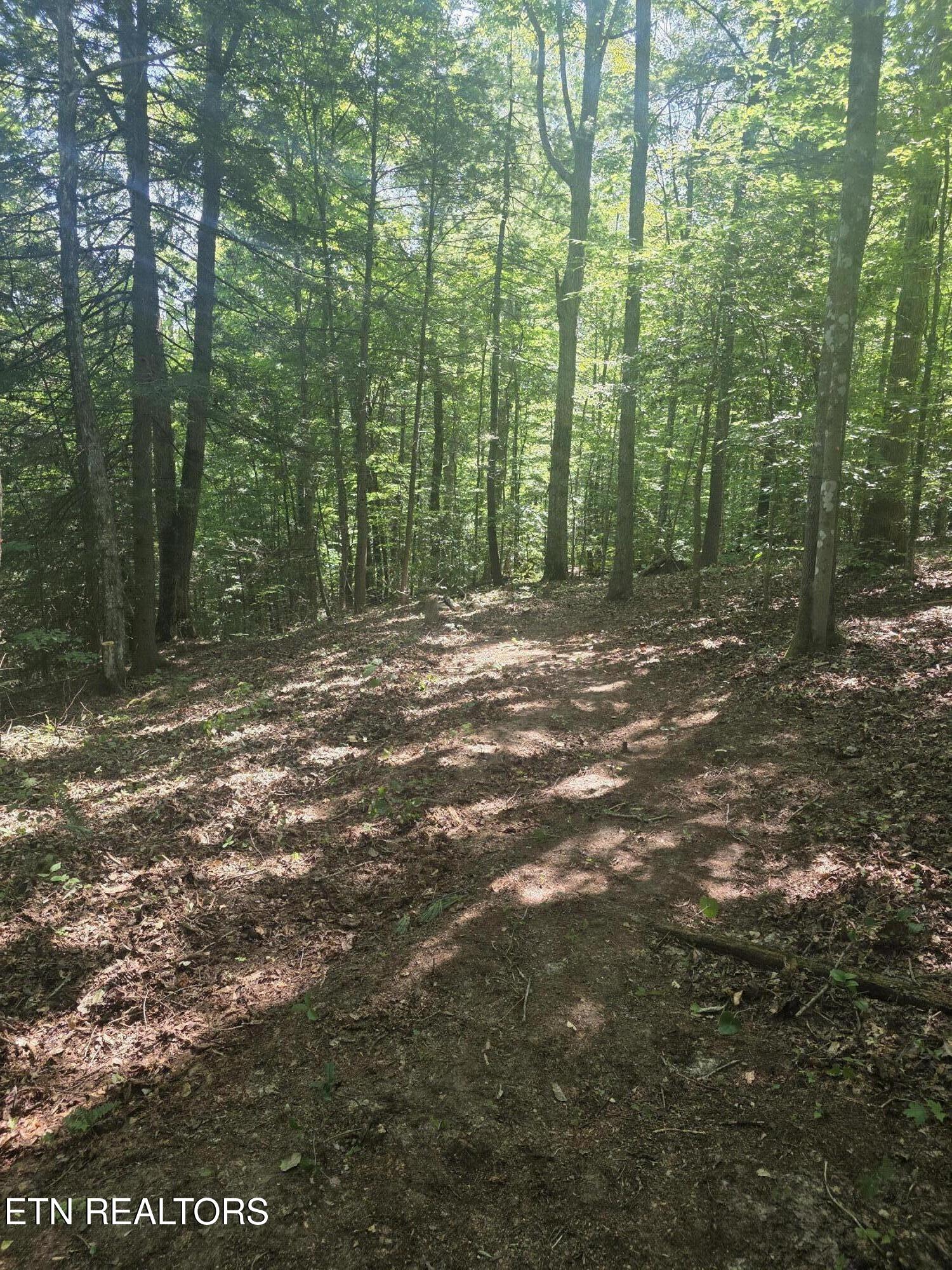 1478 Catoosa Road Wartburg TN 37887