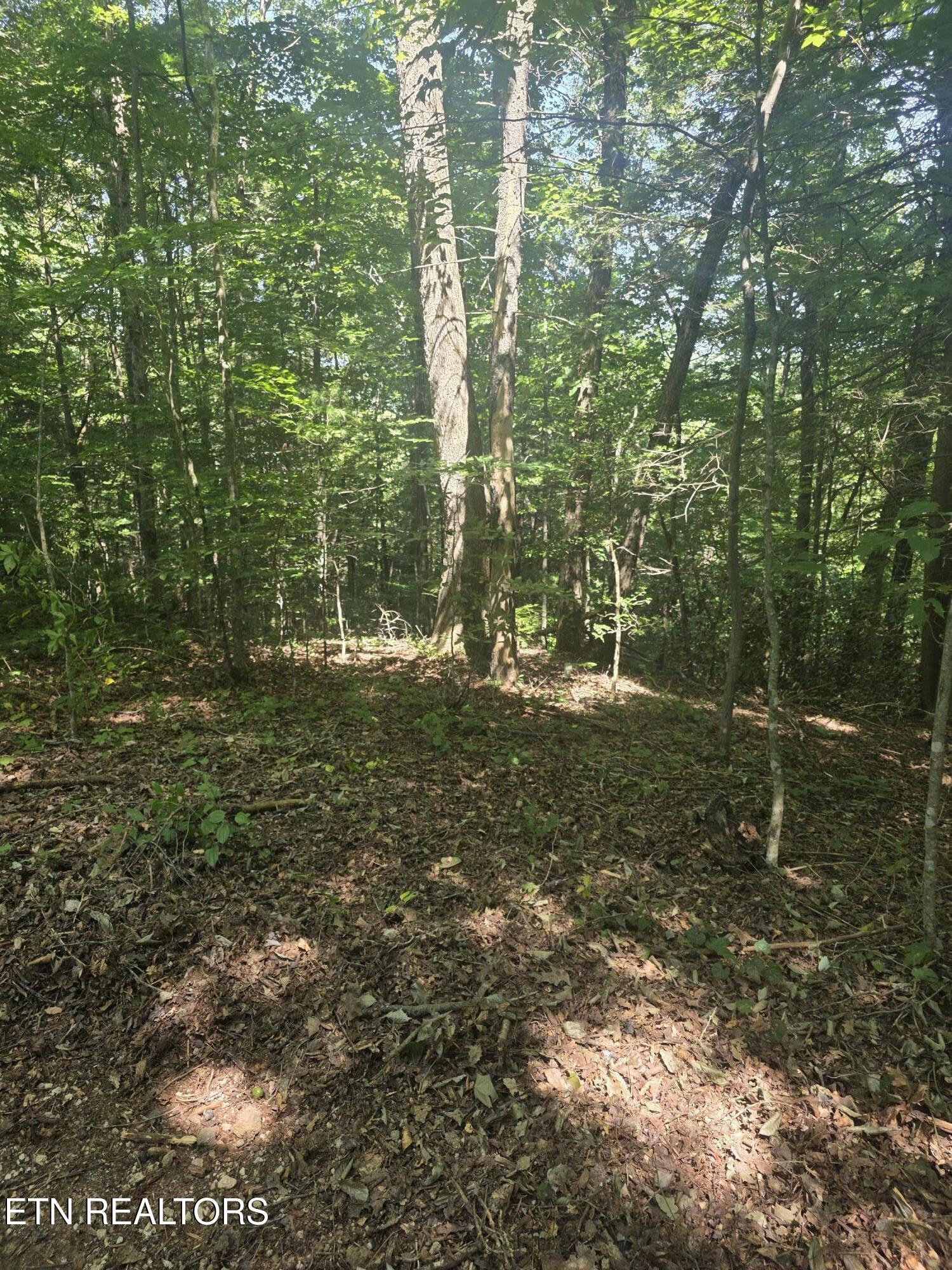 1478 Catoosa Road Wartburg TN 37887