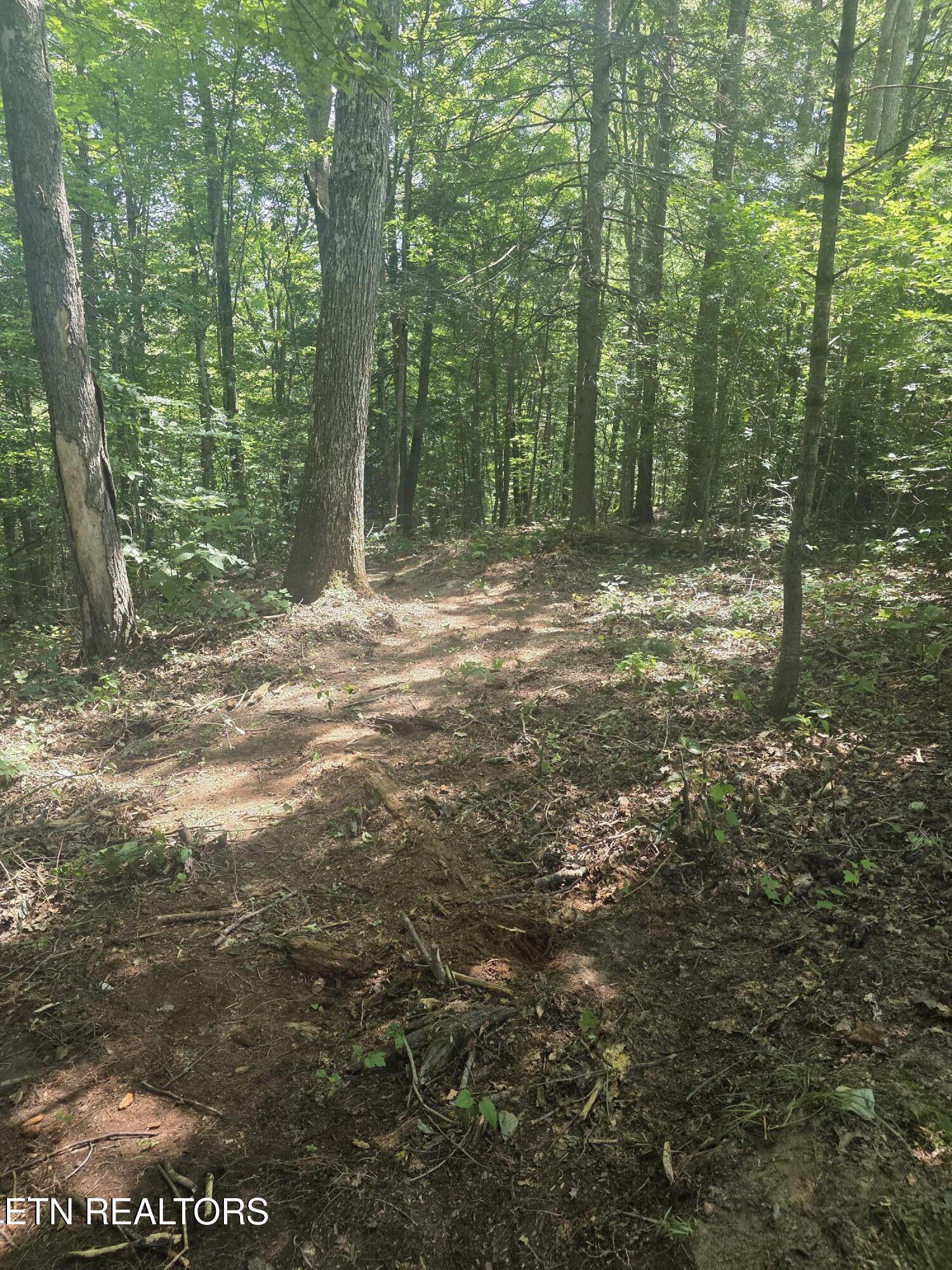1478 Catoosa Road Wartburg TN 37887