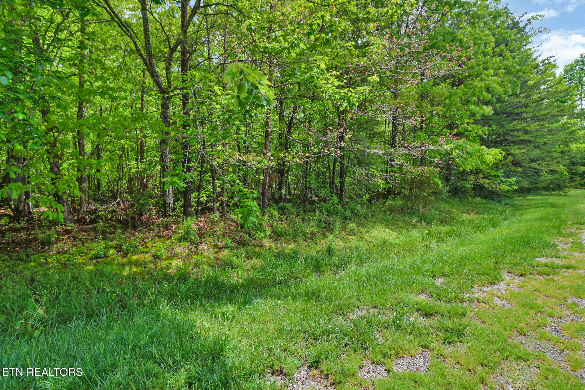 Emerald Place Lot 6 Monterey TN 38574