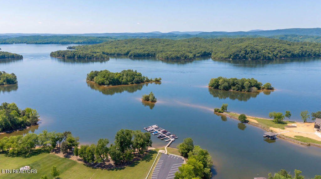 275 W Shore Drive Rockwood TN 37854