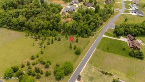 275 W Shore Drive Rockwood TN 37854