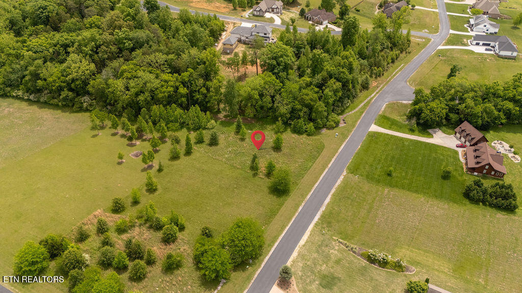 275 W Shore Drive Rockwood TN 37854