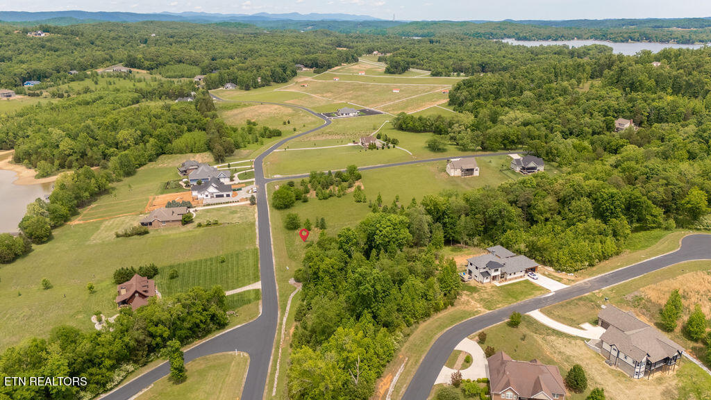 275 W Shore Drive Rockwood TN 37854
