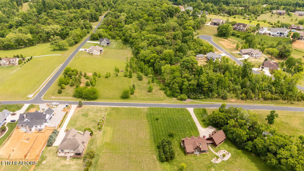 275 W Shore Drive Rockwood TN 37854