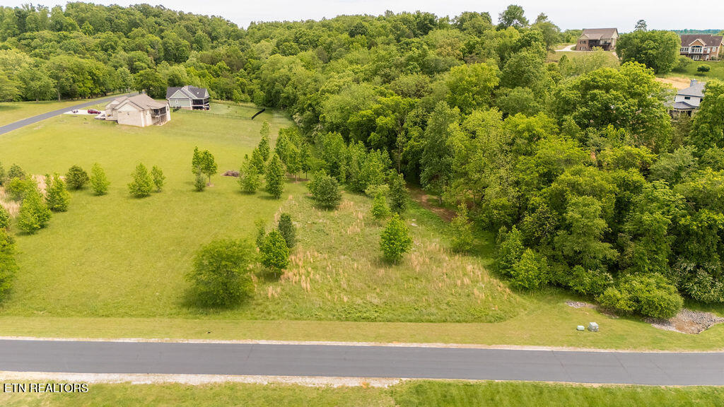 275 W Shore Drive Rockwood TN 37854