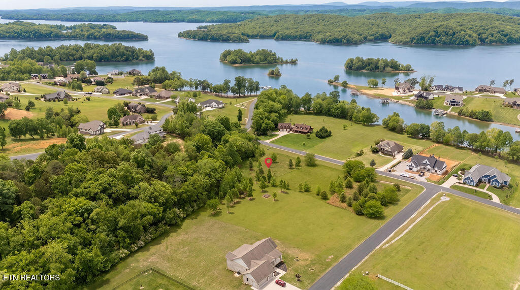 275 W Shore Drive Rockwood TN 37854