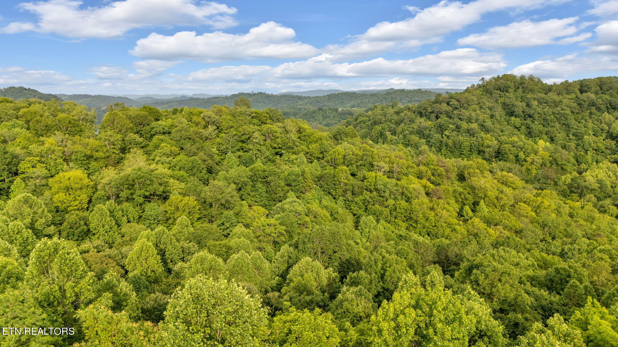 Lot 95 Chimney Rock Road New Tazewell TN 37825