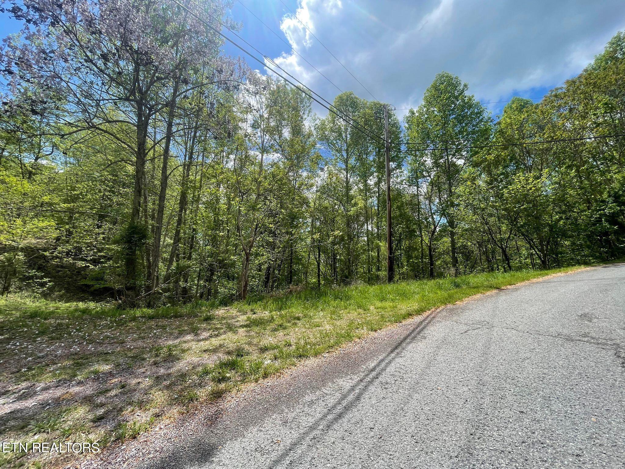 Lot 95 Chimney Rock Road New Tazewell TN 37825