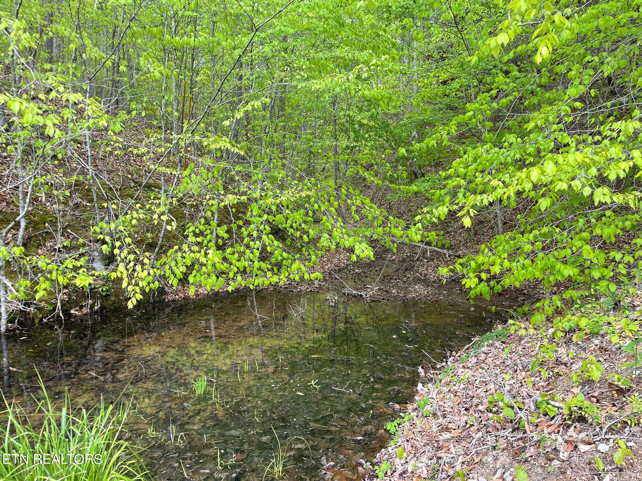 Lot 95 Chimney Rock Road New Tazewell TN 37825