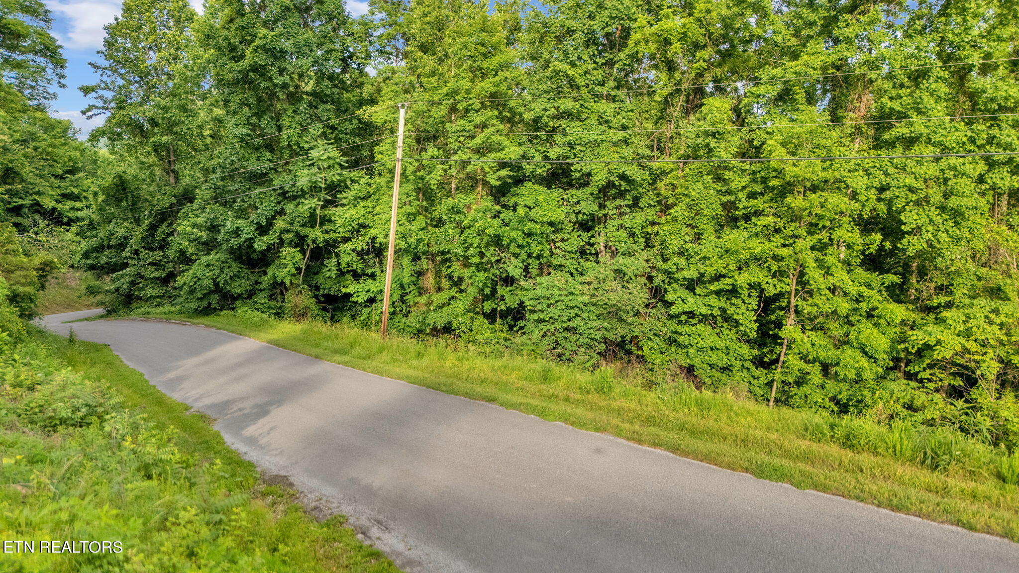 Lot 95 Chimney Rock Road New Tazewell TN 37825