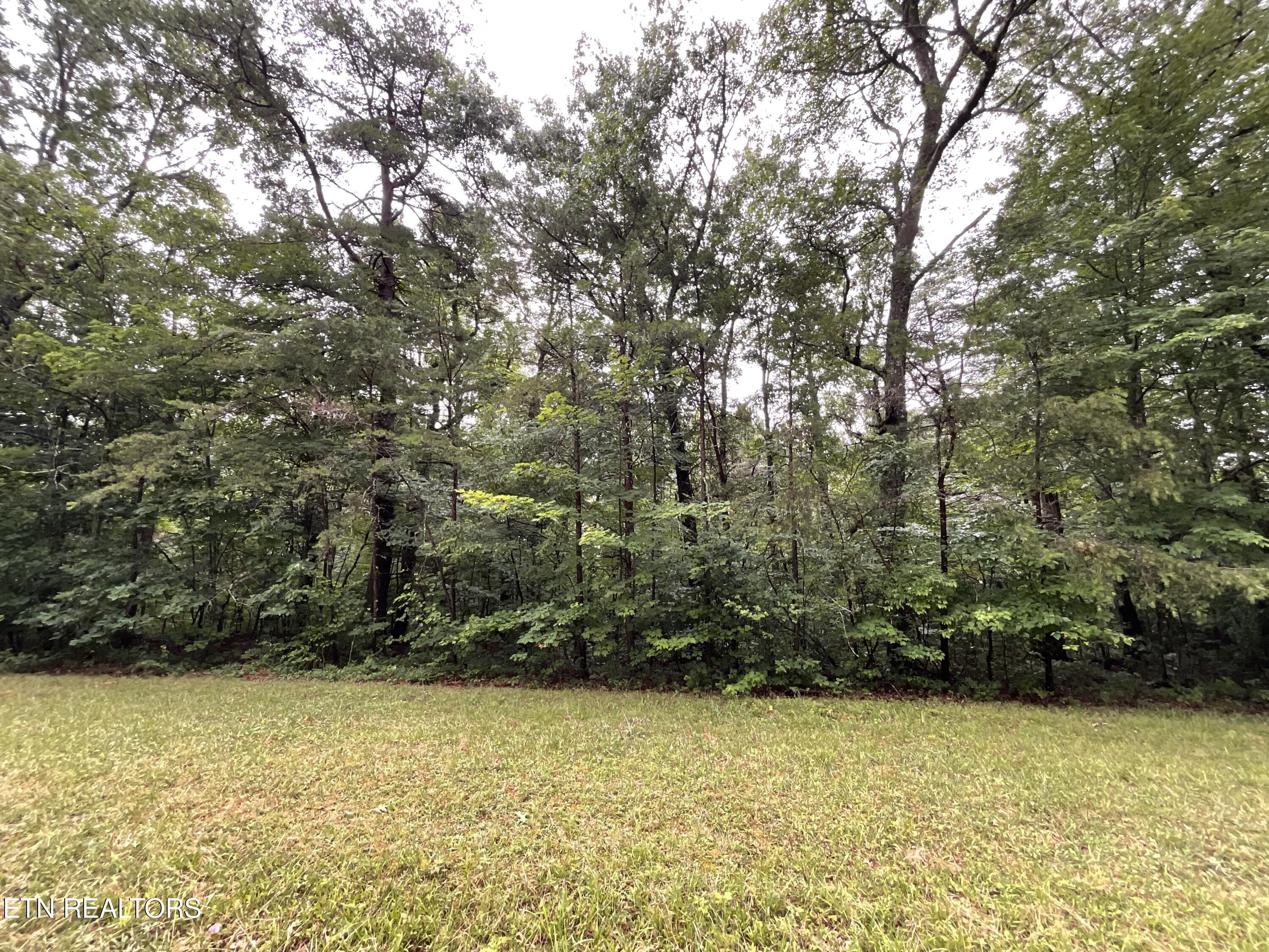 Lot 4 Divide Trail Monterey TN 38574