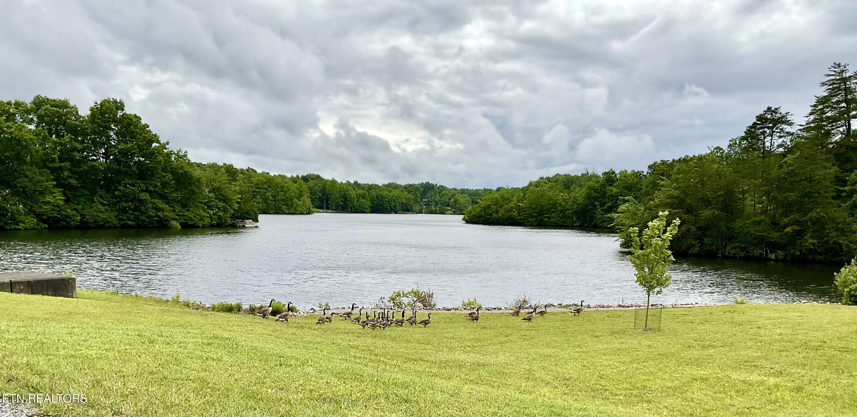 Lot 4 Divide Trail Monterey TN 38574