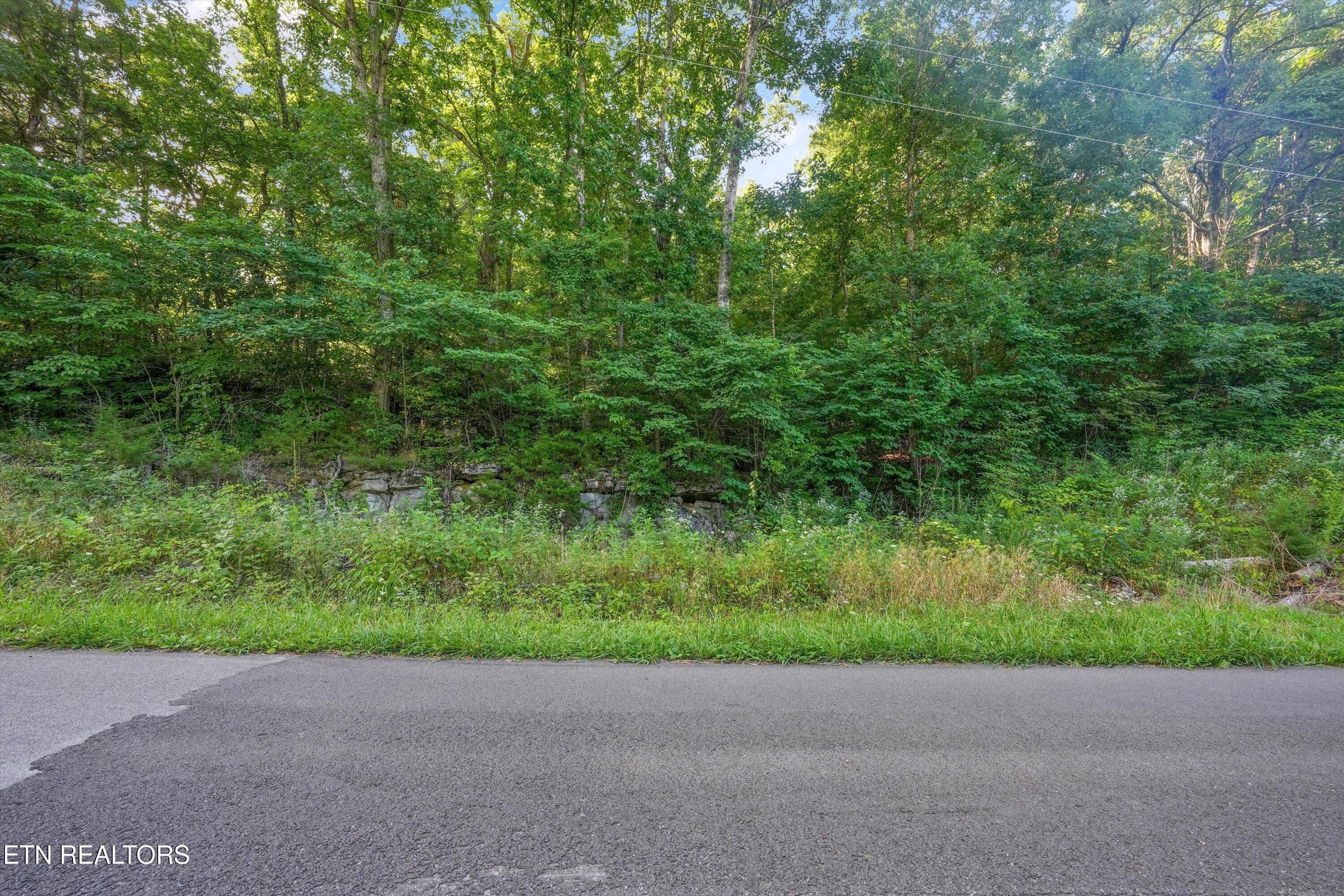 Lot 3 Derrick Road Sevierville TN 37876
