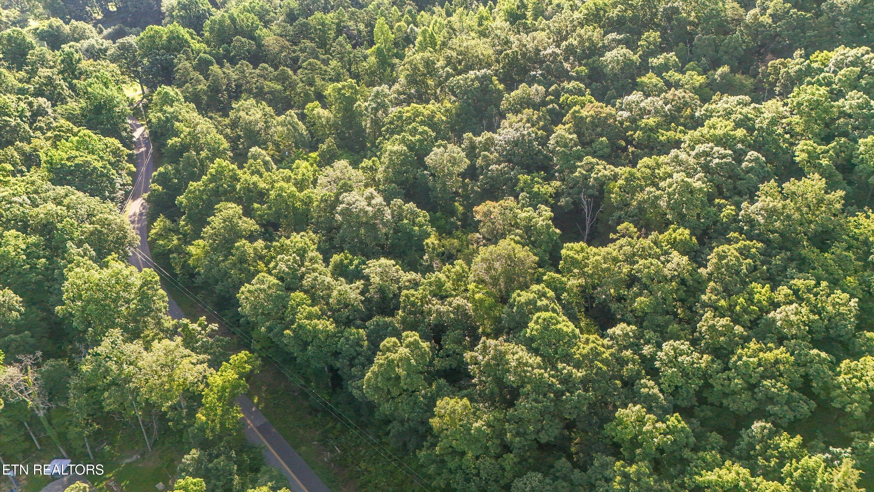 Lot 3 Derrick Road Sevierville TN 37876