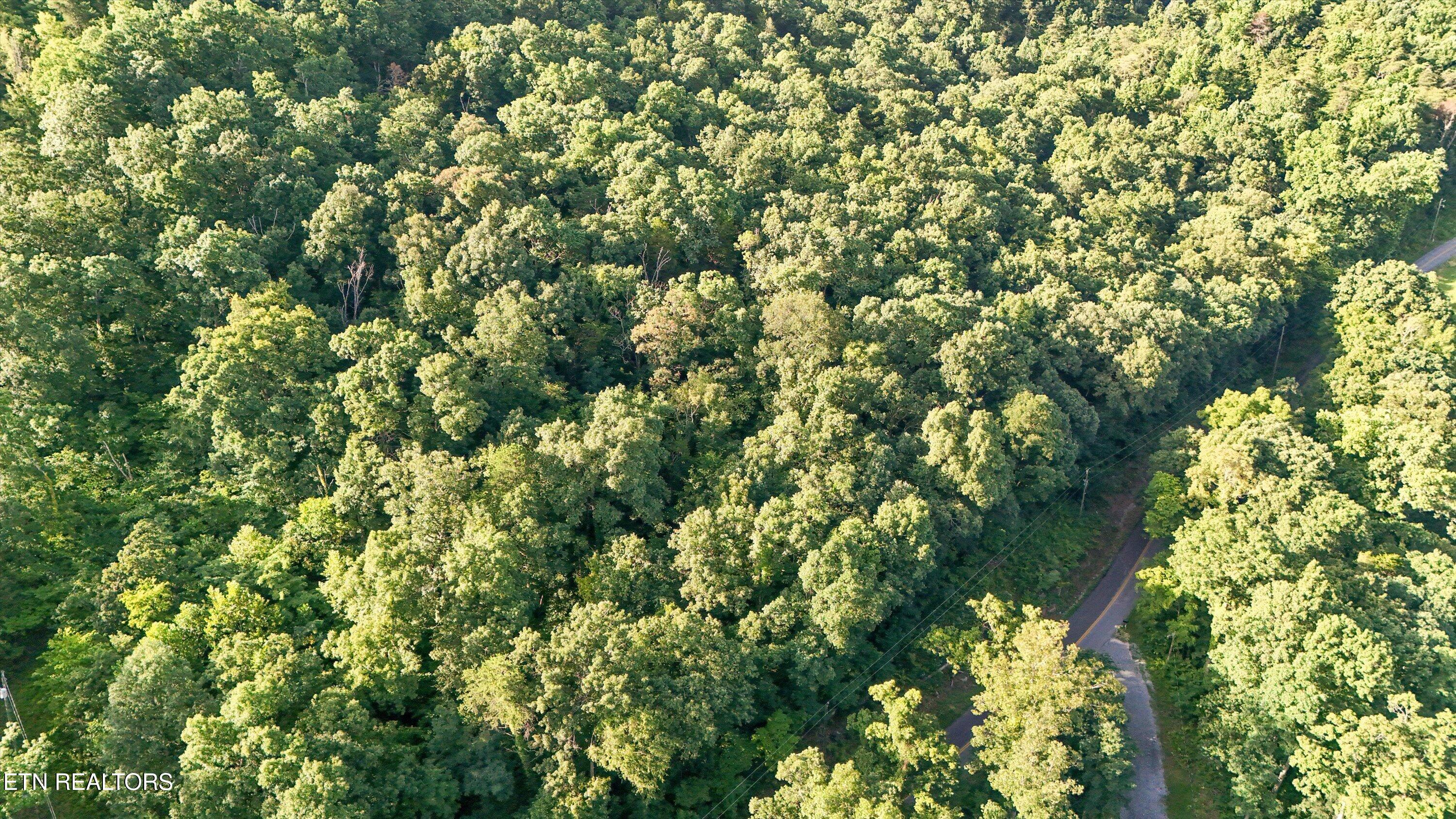 Lot 3 Derrick Road Sevierville TN 37876