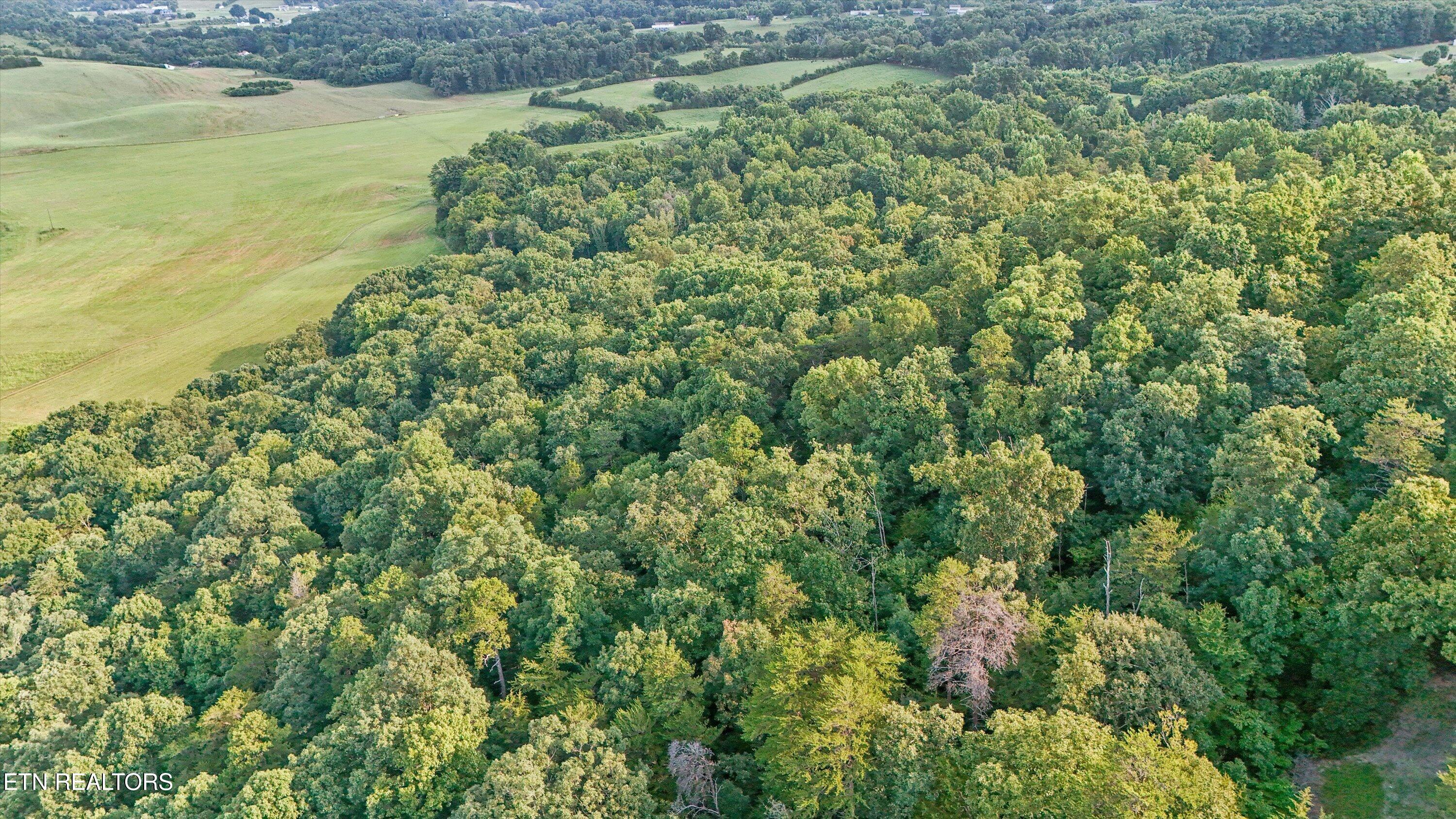 Lot 3 Derrick Road Sevierville TN 37876