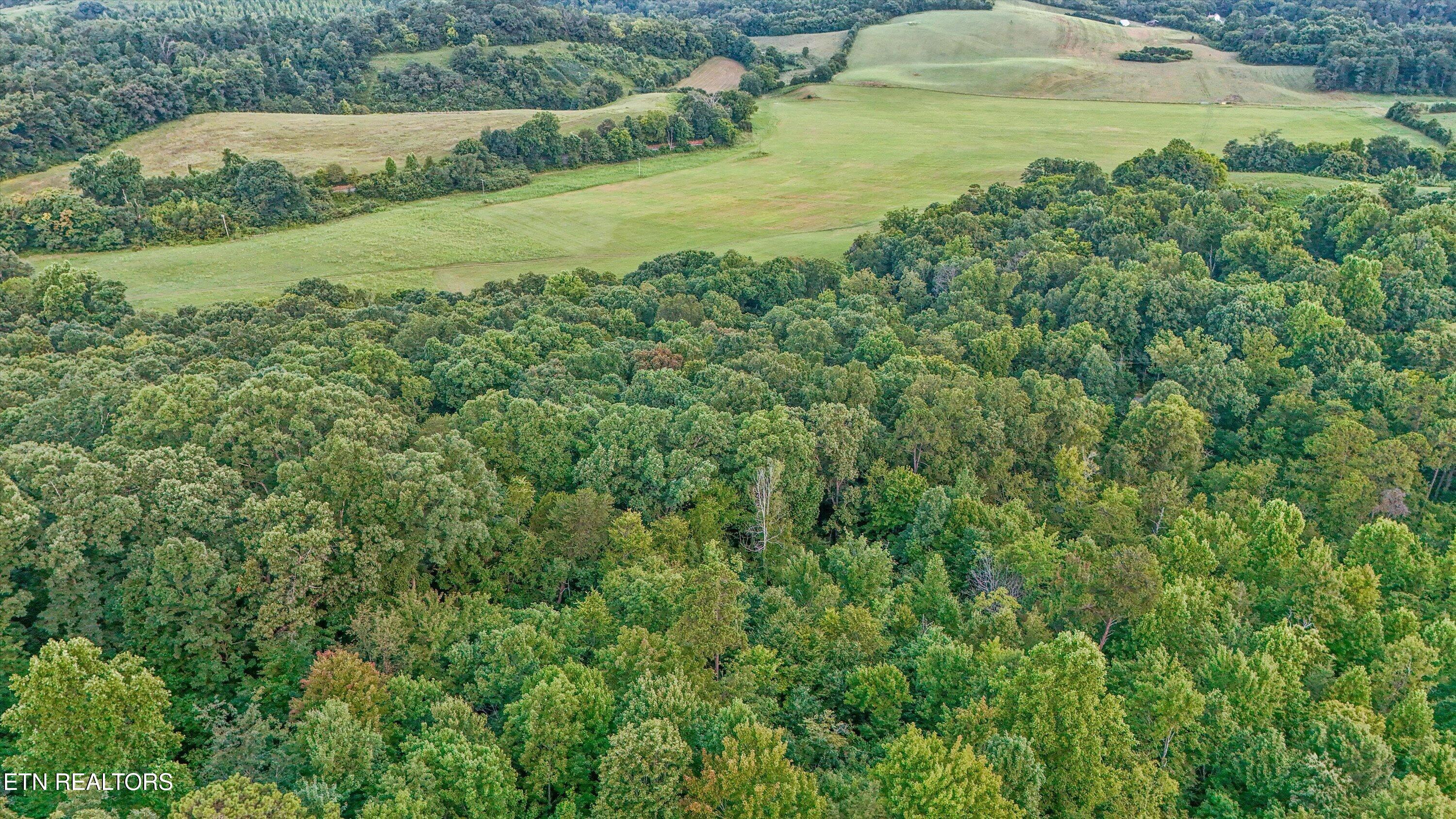 Lot 3 Derrick Road Sevierville TN 37876
