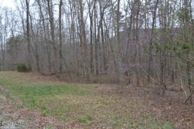 Lot 14 Cheyenne Drive Jamestown TN 38556