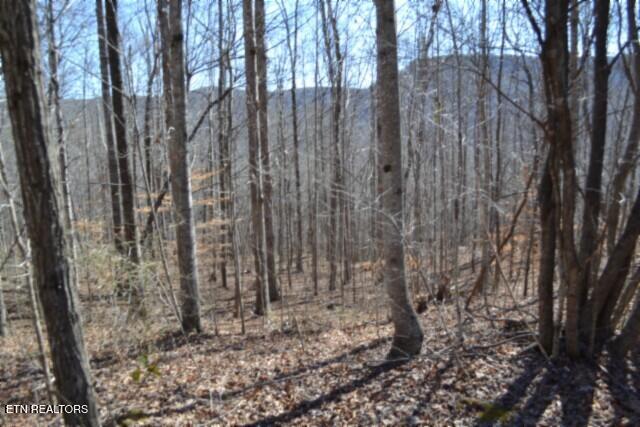 Lot 14 Cheyenne Drive Jamestown TN 38556