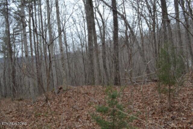 Lot 14 Cheyenne Drive Jamestown TN 38556