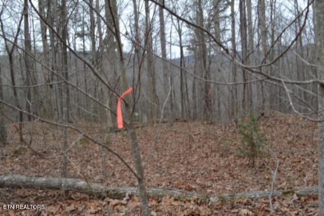 Lot 14 Cheyenne Drive Jamestown TN 38556
