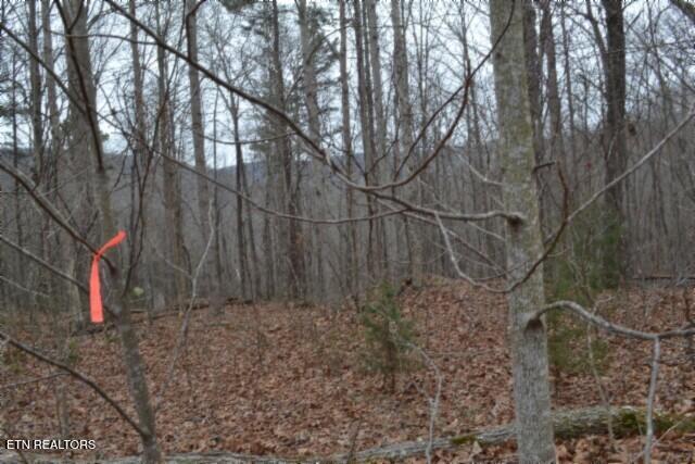 Lot 14 Cheyenne Drive Jamestown TN 38556
