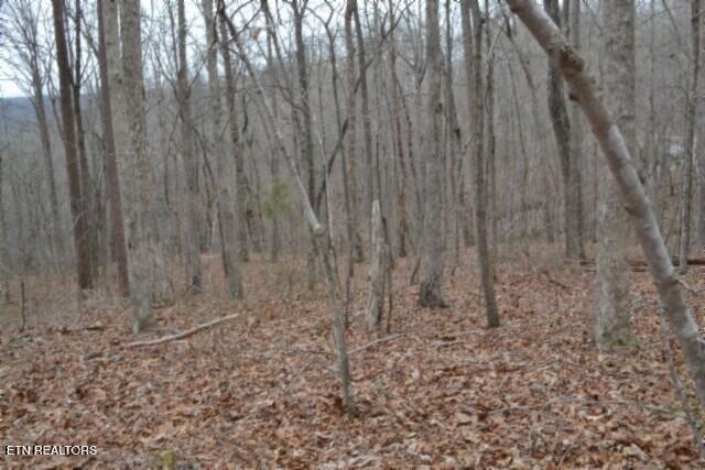 Lot 14 Cheyenne Drive Jamestown TN 38556