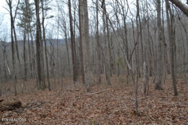 Lot 14 Cheyenne Drive Jamestown TN 38556