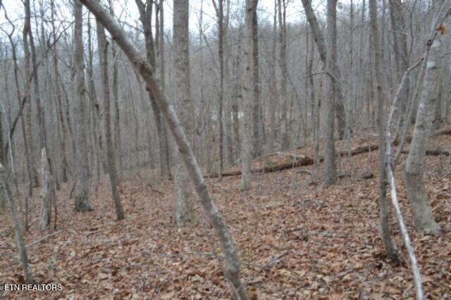 Lot 14 Cheyenne Drive Jamestown TN 38556