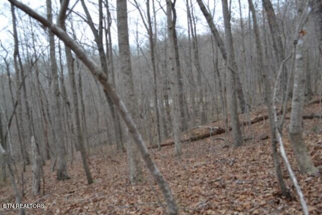 Lot 14 Cheyenne Drive Jamestown TN 38556