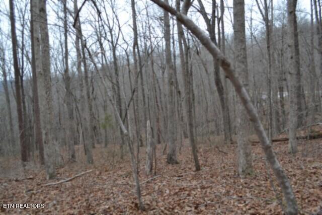 Lot 14 Cheyenne Drive Jamestown TN 38556