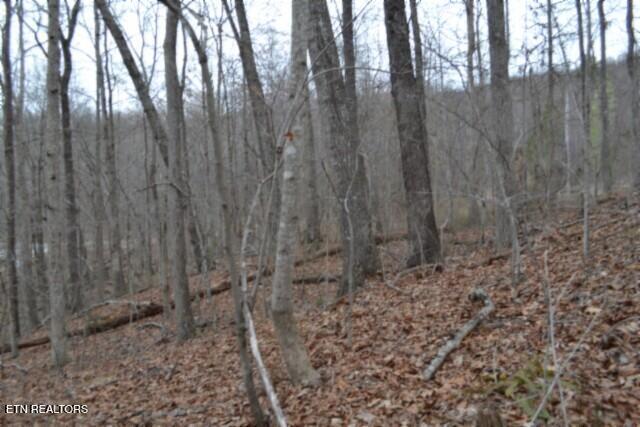 Lot 14 Cheyenne Drive Jamestown TN 38556
