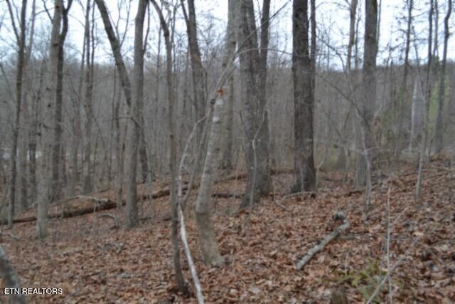 Lot 14 Cheyenne Drive Jamestown TN 38556