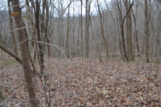 Lot 14 Cheyenne Drive Jamestown TN 38556