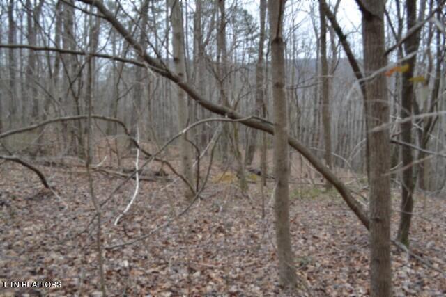 Lot 14 Cheyenne Drive Jamestown TN 38556