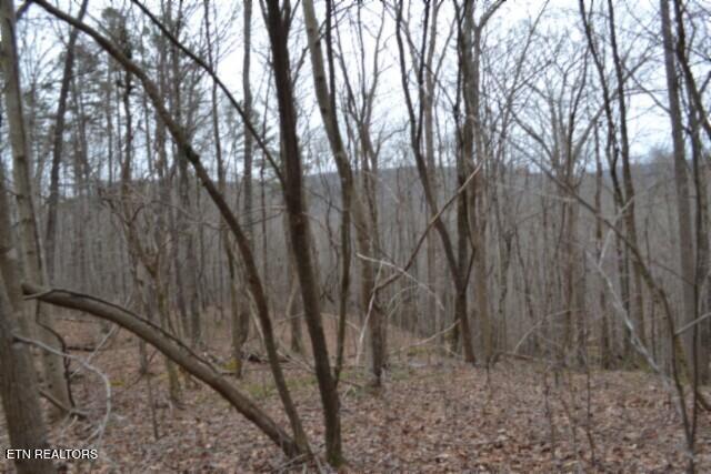 Lot 14 Cheyenne Drive Jamestown TN 38556