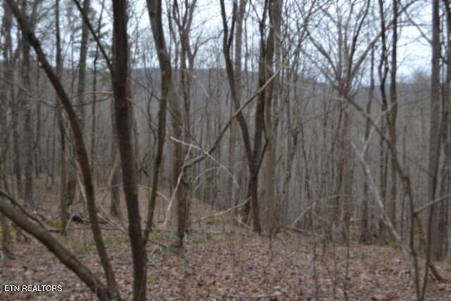 Lot 14 Cheyenne Drive Jamestown TN 38556