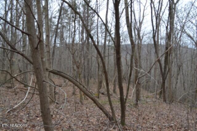 Lot 14 Cheyenne Drive Jamestown TN 38556
