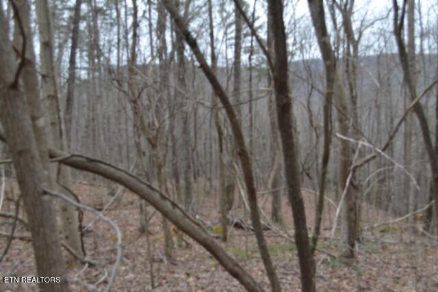 Lot 14 Cheyenne Drive Jamestown TN 38556